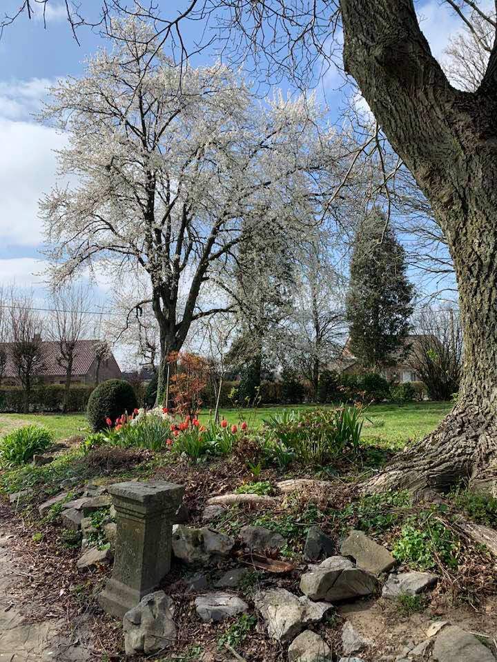 No Name Gallery - La Maison 8