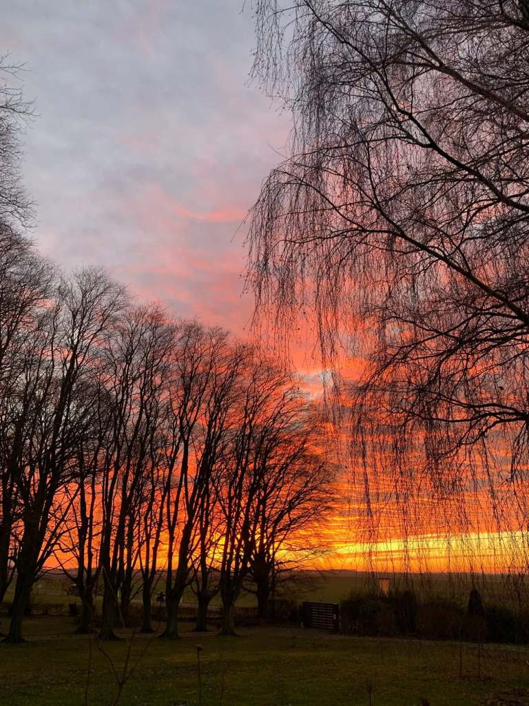 No Name Gallery - La Maison 3