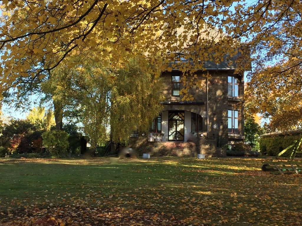 No Name Gallery - La Maison 5