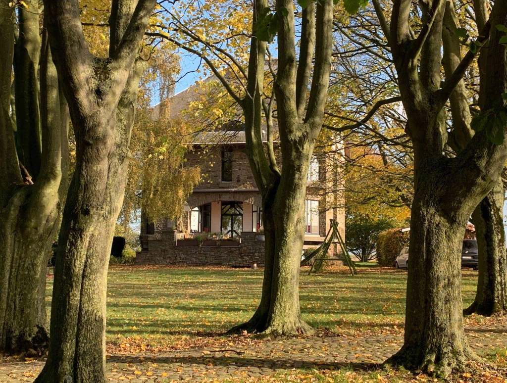 No Name Gallery - La Maison 1