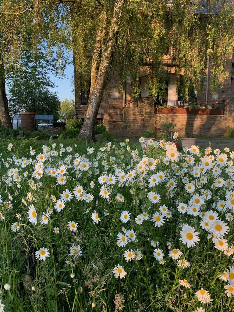 No Name Gallery - La Maison 4