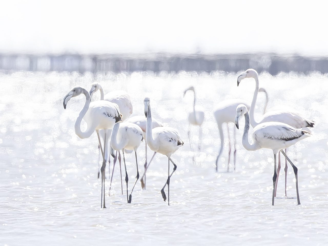 Photo prise par Benoit Huc