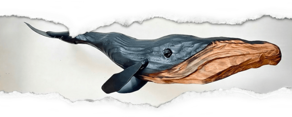 De nouveaux artistes rejoignent l’aventure…La constellation continue de s’agrandir !